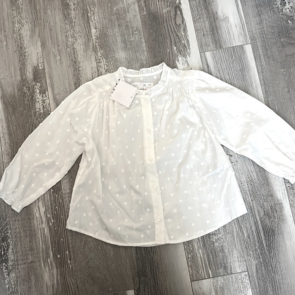 Zara Swiss Dot Shirt